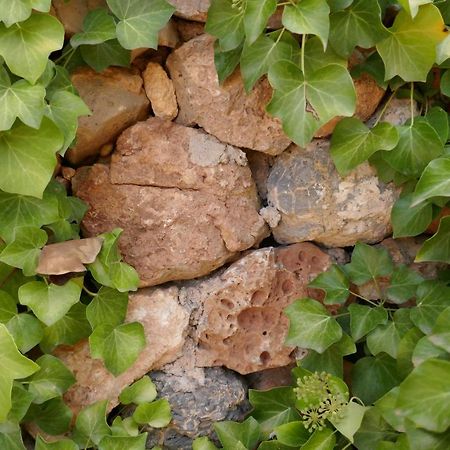 Matet La Casa De Piedra, Una Ventana Al Paraiso מראה חיצוני תמונה