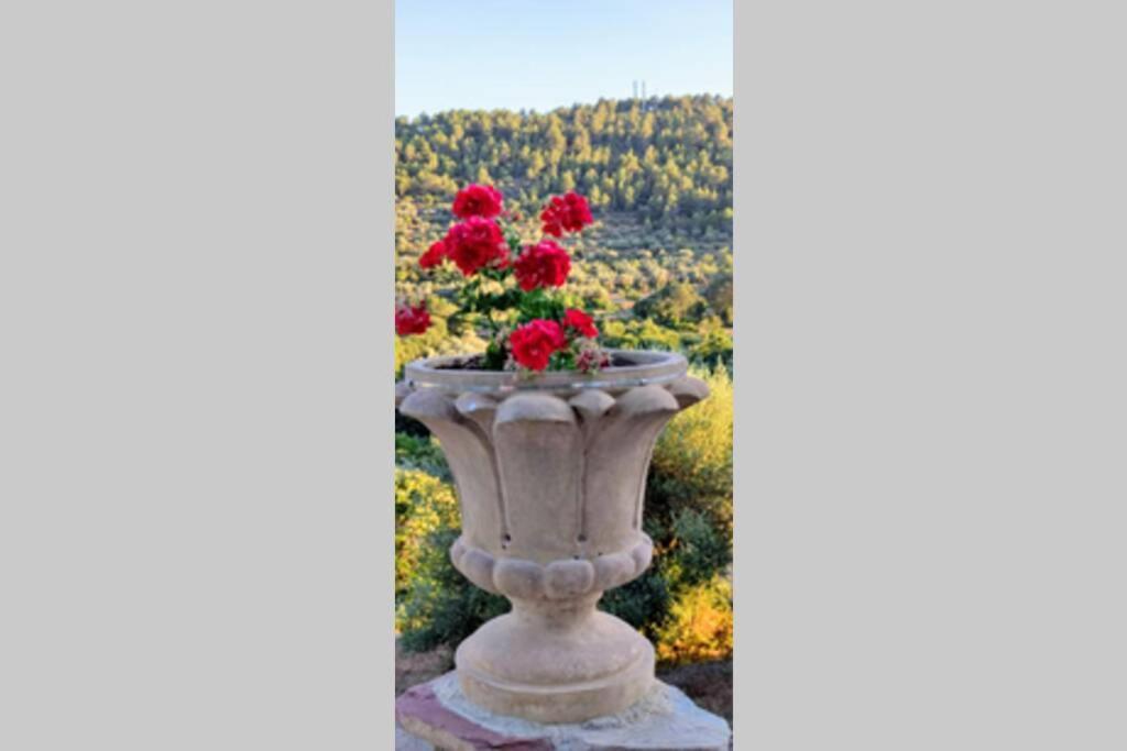 Matet La Casa De Piedra, Una Ventana Al Paraiso מראה חיצוני תמונה